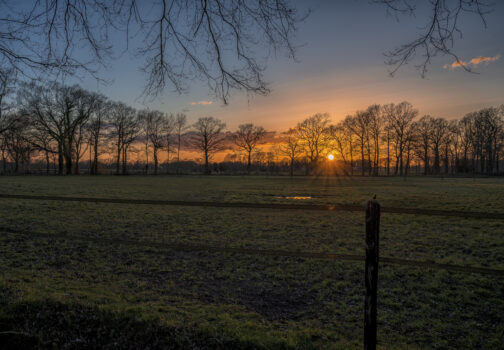 Foto’s van de Binnenvelder maart 22