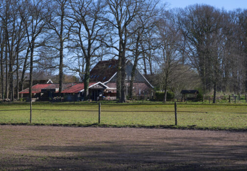 Foto’s van de Binnenvelder maart 22